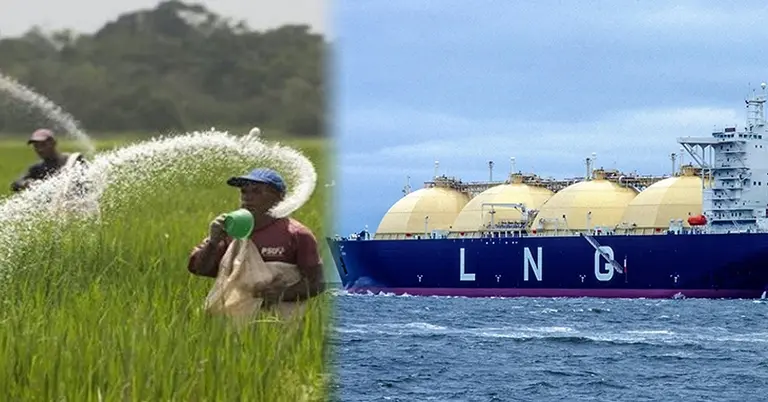 জমিতে সার দেয়ার দৃশ্য, এলএনজি